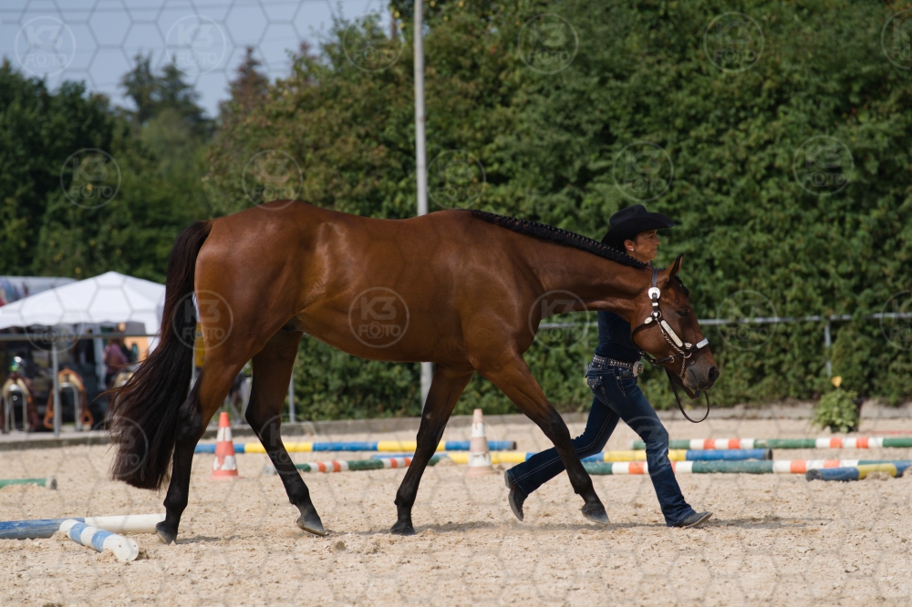 s_batch_A9_00099.jpg
